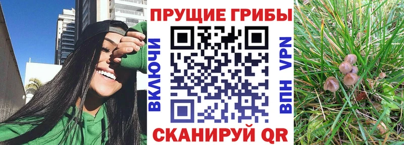 Псилоцибиновые грибы прущие грибы Отрадная
