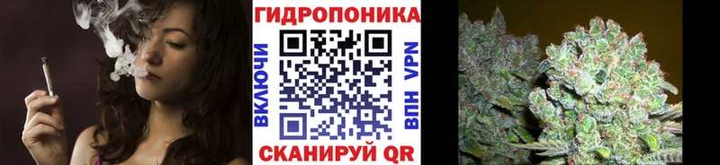 Канабис ГИДРОПОН  МЕГА вход  Отрадная 